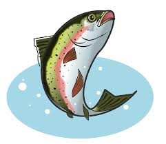 250x250 own water color rainbow fish with glitter scales i drew out this. Rainbow Trout Fish Clipart Free Download Transparent Png Creazilla