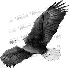 Black And White Flying Eagle Tattoo Pin By K T On Tattoo Ideas Flying Bird Tattoo Eagle Tattoos Birds Tattoo