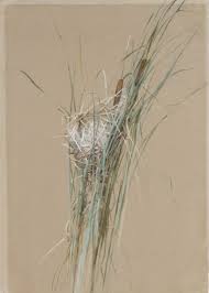 The gene is also responsible for stumpy/rump riser style manx and manx cats with shorter than normal tails. Fidelia Bridges Bird S Nest In Cattails American The Metropolitan Museum Of Art