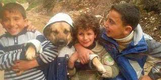 Dunyanin En Guzel Varliklarinin Cocuklar Oldugunu Gosteren 20 Masum Fotograf Fotograf Hayvan Cocukluk