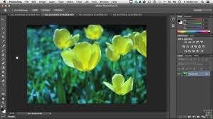 The zoom tool allows you to zoomin or zoomout the image. Using The Zoom And Hand Tool Learning Adobe Photoshop Cc Video