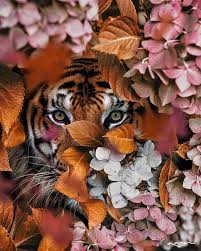 Karen On Instagram I Fall Every Time 11 53 Wearemadeofstoriesbyk Animal Photography Animal Wallpaper Animals