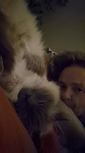 i have a new companion!!!! OMG ❤️❤️