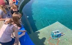ROV 101 June