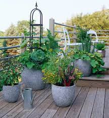 19 Ways To Grow Vegetables In Containers That Will Look As Gorgeous As They Taste Growing Vegetables Vegetable Garden Design Container Gardening Vegetables