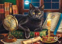 Jan van haasteren has created more than 80 puzzles to date. Black Cat By Candlelight 500 Pieces Sunsout Puzzle Warehouse