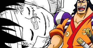 What Episode Of One Piece Does The Wano Arc Start? - Playbite