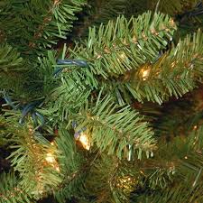 Maybe you would like to learn more about one of these? Buy The 10 Ft Pre Lit Kingswood Fir Pencil Artificial Christmas Tree Clear Lights At Michaels