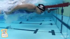 Then do it with me. Flip Turn Swim Gif Flipturn Swim Swimming Discover Share Gifs