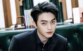 Bảng xếp hạng dàn tiểu sinh 95 do netizen bình chọn: Lưu Hạo Nhiên đứng  đầu, Ngô Lỗi bứt phá mạnh mẽ nhưng cũng chỉ mức 3