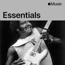 Image result for Albert Collins