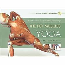 Anatomy pictures muscles and bones pdf downloads : Read Pdf The Key Muscles Of Yoga Scientific Keys Volume I E B O O K Download By Mariyah