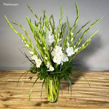 Image result for Gladiolus melleri