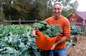 Looking for a good deal on fish fertilizer? Fertilizer Facts Labels What Ratios Represent Joe Gardener