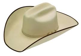 Twister Ruidoso 2x Silver Belly With Brown Trim T75270277 Cowboy Hats Western Hats Brown Trim