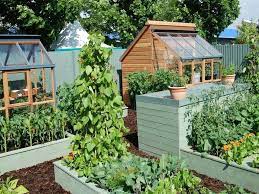Vegetables like tomatoes, eggplants, broccoli. Garden With Small Greenhouses Small Garden Plans Courtyard Gardens Design Small Vegetable Gardens