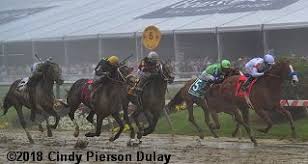 2018 Preakness Results