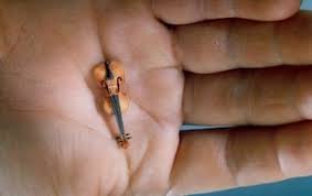 Image result for smallest fiddle in the world