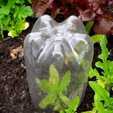 Light, natural and artificial, is used to sculpt the space and accentuate. 12 Seed Starting Ideas Using Recycled Materials Lovely Greens