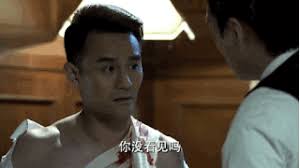 The Disguiser 伪装者