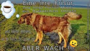 lasst uns frohen mutes in den donnerstag starten um so schneller haben wir das wochenende erreicht euer elvi guten morgen gruss hundespruche guten morgen