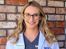 VCA Greenback Animal Hospital