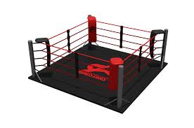 Ideal for schools, gyms, classes, rec centers, studios, health clubs, etc. Boxing Ring On Floor