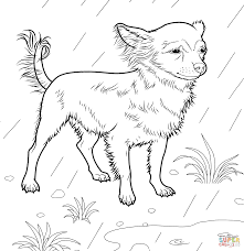 Find more coloring pages online for kids and adults of zen cute cat adult coloring. Chihuahua Dog Coloring Page Coloring Pages Free Printable Coloring Pages