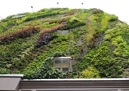 Vertical Garden In Paris 10 Pictures Mc Winkels Weblog Gartendesign Ideen Grune Fassade Grune Wande