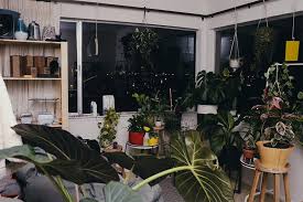Pertama, tentukan penempatan tanaman hias, seperti pada meja, rak bufet, dekat jendela, pojok ruangan, bahkan menggantungnya di tembok. 10 Jenis Tanaman Hias Dalam Kamar Tidur Bikin Tidur Sehat Nyenyak Rumah123 Com