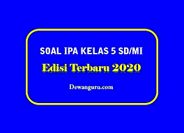 Salah satu jenis tumbuhan pemakan serangga adalah kantong semar, tujuan tumbuhan tersebut memakan serangga adalah untuk. Soal Ipa Kelas 5 Sd Mi Semester 1 Dan Kunci Jawaban Dewanguru Com