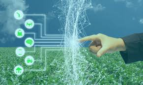 The major diseases of mungbean are yellow mosaic, anthracnose, powdery mildew, cercospora leaf spot, halo blight, bacterial leaf spot, and tan spot. Artificial Intelligence In Agriculture Eases Risk Of Changing Weather Patterns Agriculture Post
