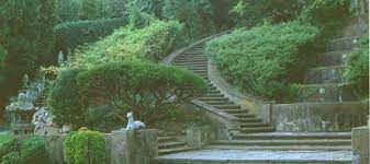 Pin On Gardens