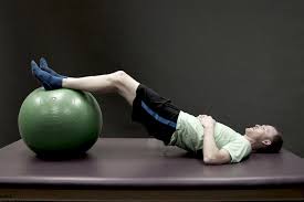 Hamstring curls, also known as leg curls, are isolation exercises that target the hamstring muscles on the backs of your legs. Phase Ii Therapy Ball Hamstring Curls Summit Orthopedics
