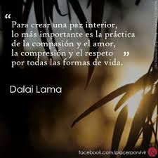 Para Crear Una Paz Interior Lo Mas Importante Es La Practica De La Compasion Y El Amor La Compresion Y El Respeto Por Toda Paz Interior Frases Frases Sabias