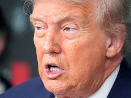 Bolingbrook resident, member of Lewis University Mock Trial team earns  individual award in national invitational