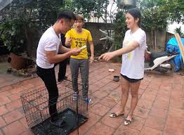 Mỹ tâm được biết đến là 1 người con của đà nẵng, song quê gốc của cô là ở điện thọ, điện bàn, quảng nam. HÆ°ng Vlog Lá»«a Nhá»'t Em Gai Ä'á»ƒ Quay Clip Gay Tranh Cai Dá»¯ Dá»™i