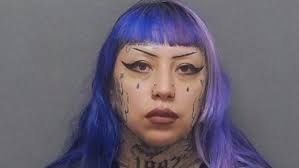 Shocking details of mother-son thwarted school terror attack plan