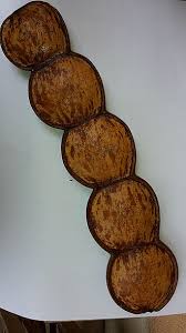 Image result for Entada gigas