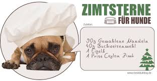 Rezept Zimtsterne Fur Hunde Hunde Hunde Kekse Rezept Hundekekse