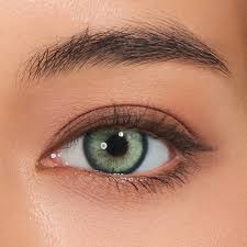 Image result for Contact Lens