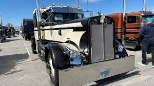 Image result for Bell Blue Gray 1955 Truck