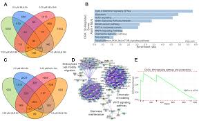 ncRNAs Orchestrate Chemosensitivity Induction by Neddylation Blockades