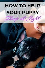 Check spelling or type a new query. Help My Puppy Won T Sleep Through The Night Puppy Whining At Night Crate Training Puppy Puppy Training