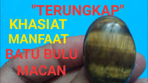 Check spelling or type a new query. Ternyata Khasiat Dan Manfaat Batu Bulu Macan Luar Biasa Batu Bulu Harimau Youtube