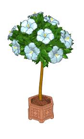 The video shows how to grow magnolia tree from cuttings in a pot. Sneak Peek Snowball Collection Event Details Prizes Wkn Webkinz Newz
