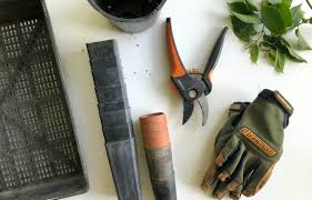 Homemade root hormone willow water willows are very special from which we can prepare a very good root hormone. Make Your Own Homemade Rooting Hormone Workshopedia