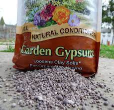 Overlap the spread pattern by 6 to 8 inches to ensure complete coverage, and spread the gypsum to within 10 feet of your driveway, street or sidewalk. Garden Gypsum Information Is Gypsum Good For The Soil