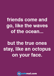 If you can entertain people and tell a joke or two then you'll always have friends. Funny Friends Quotes To Send Your Bff Text Image Quotes Quotereel