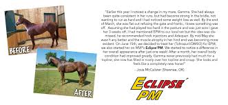 Horses are not very efficient in storing vitamin he has been getting this supplement for over 6 months now and he looks for it come feed time. Eclipsepm Horse Immune System Support Mvp Free Shipping